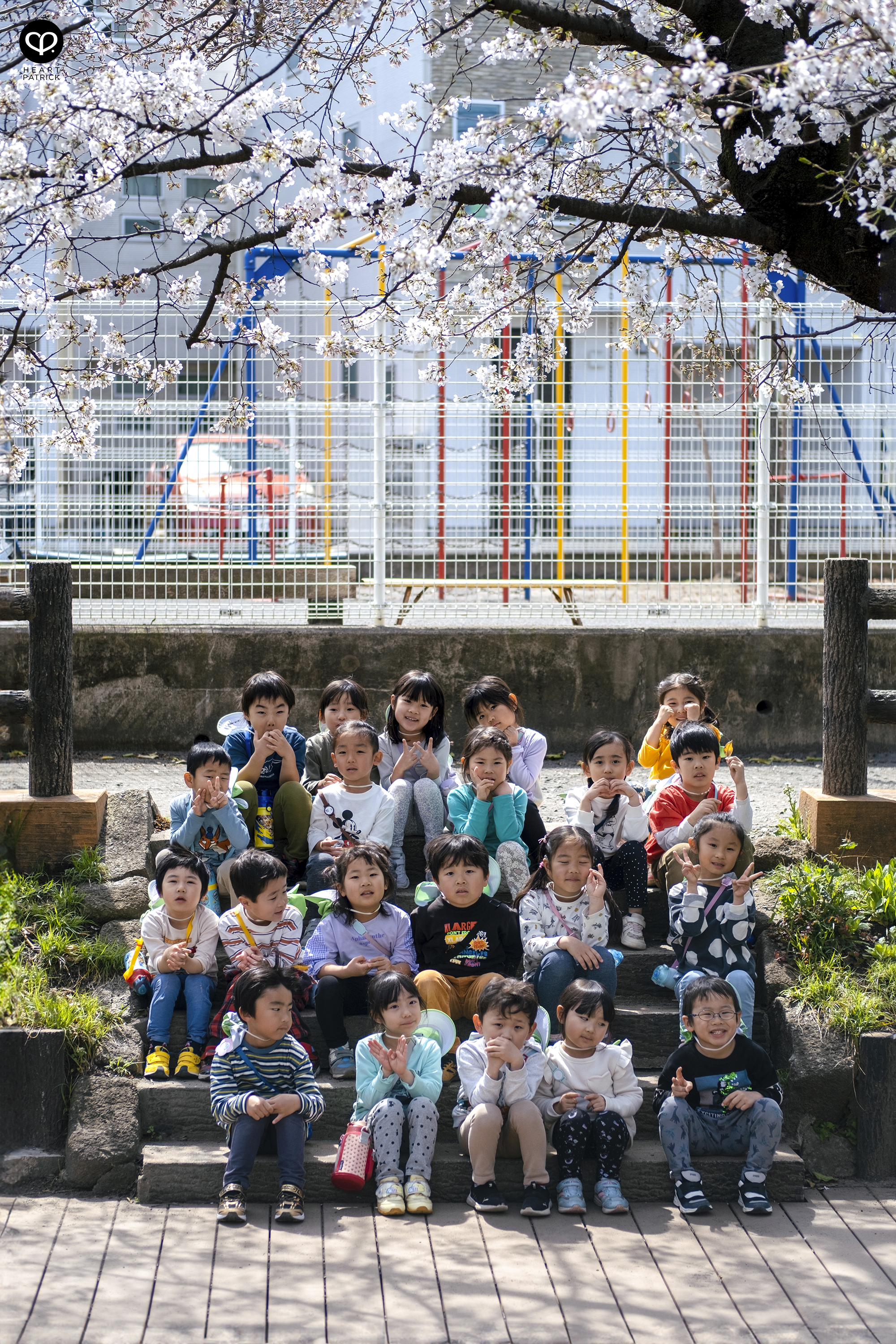 heartpatrick travel japan tokyo sakura hanami season flower spring street photography