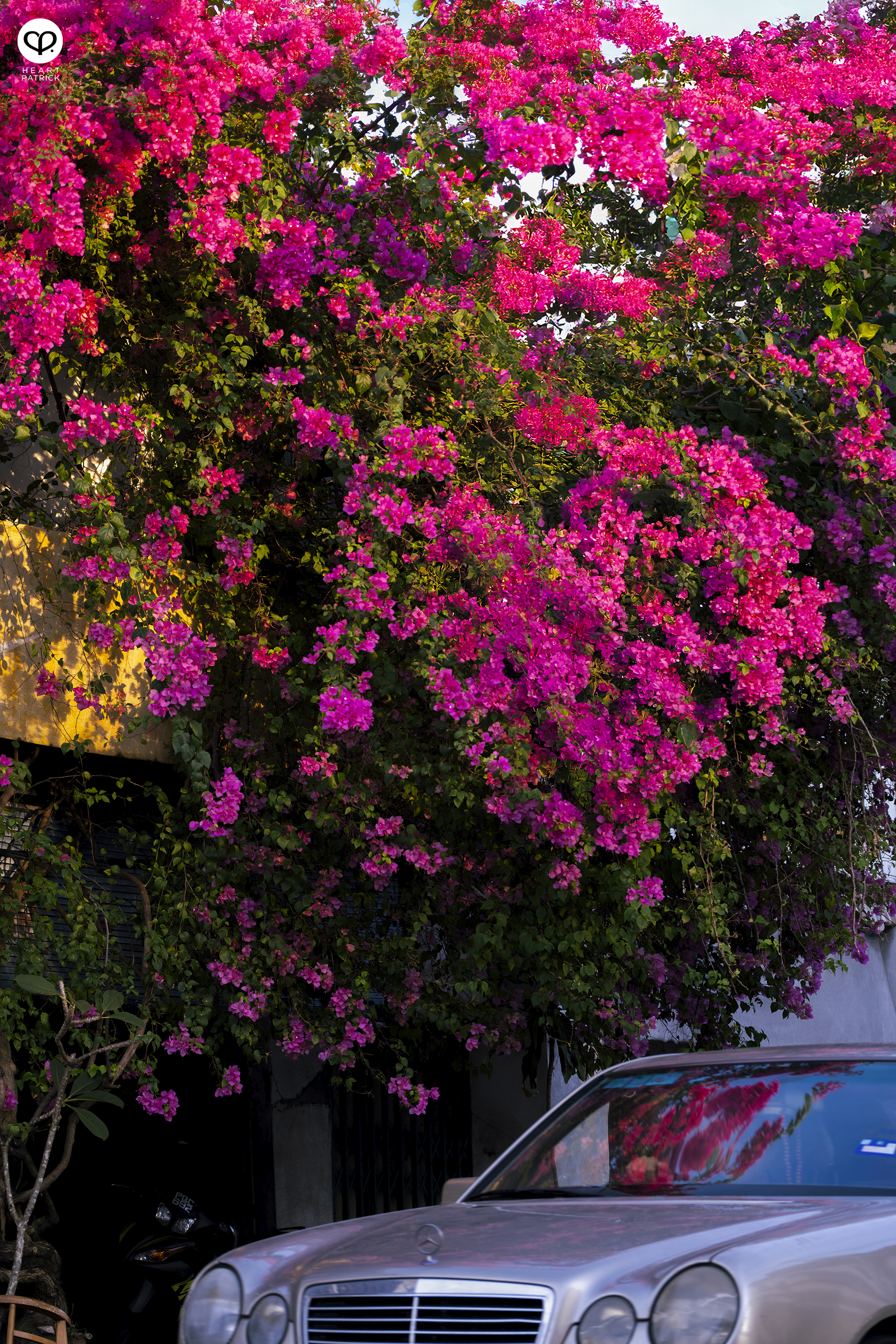 heartpatrick street heritage photography chinese new year 2025 bukit mertajam
