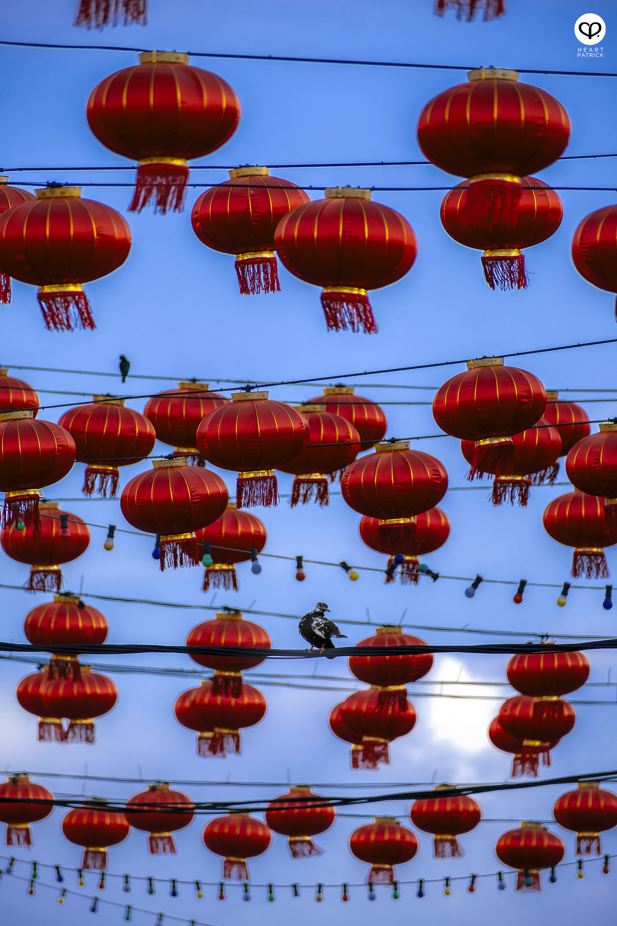 heartpatrick street heritage photography chinese new year 2025 bukit mertajam