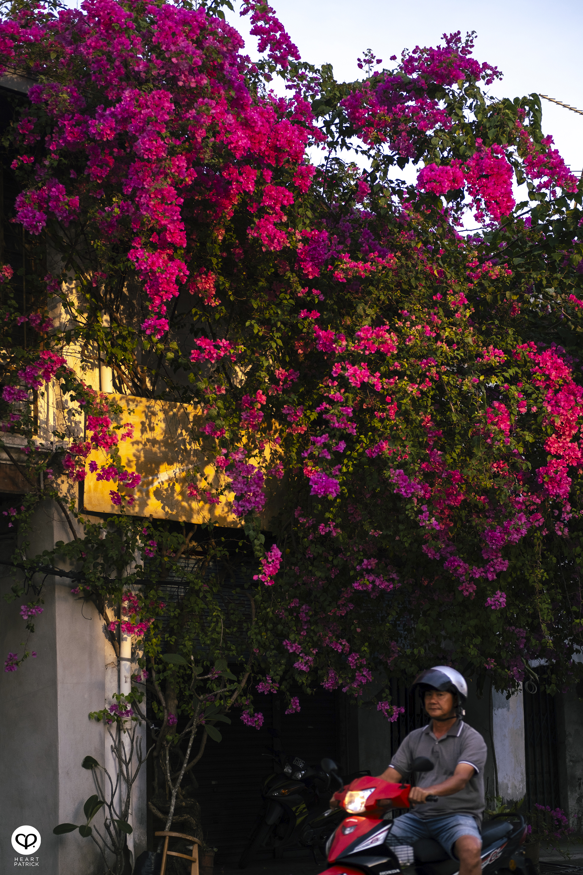 heartpatrick street heritage photography chinese new year 2025 bukit mertajam