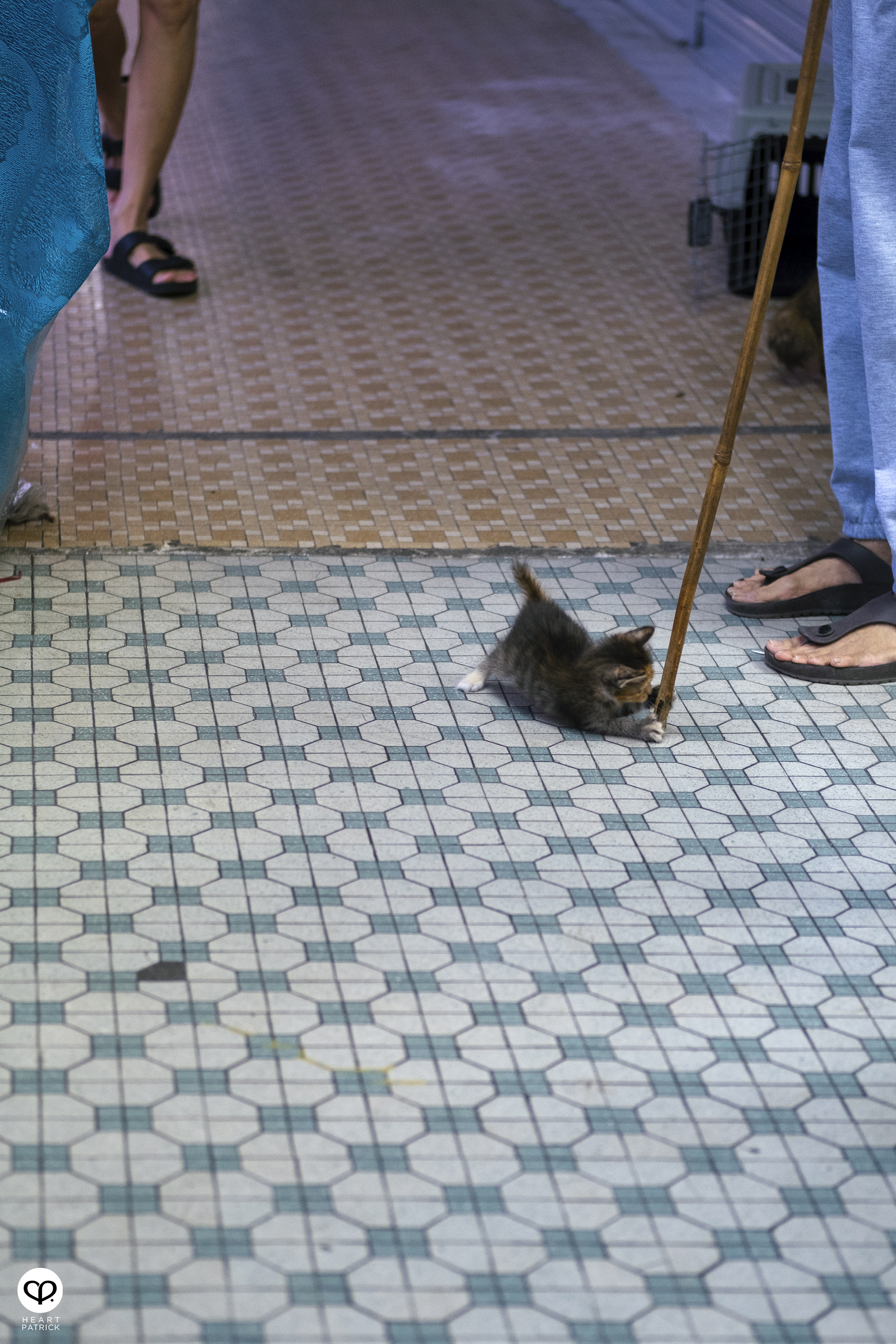 heartpatrick street heritage photography chinese new year 2025 bukit mertajam