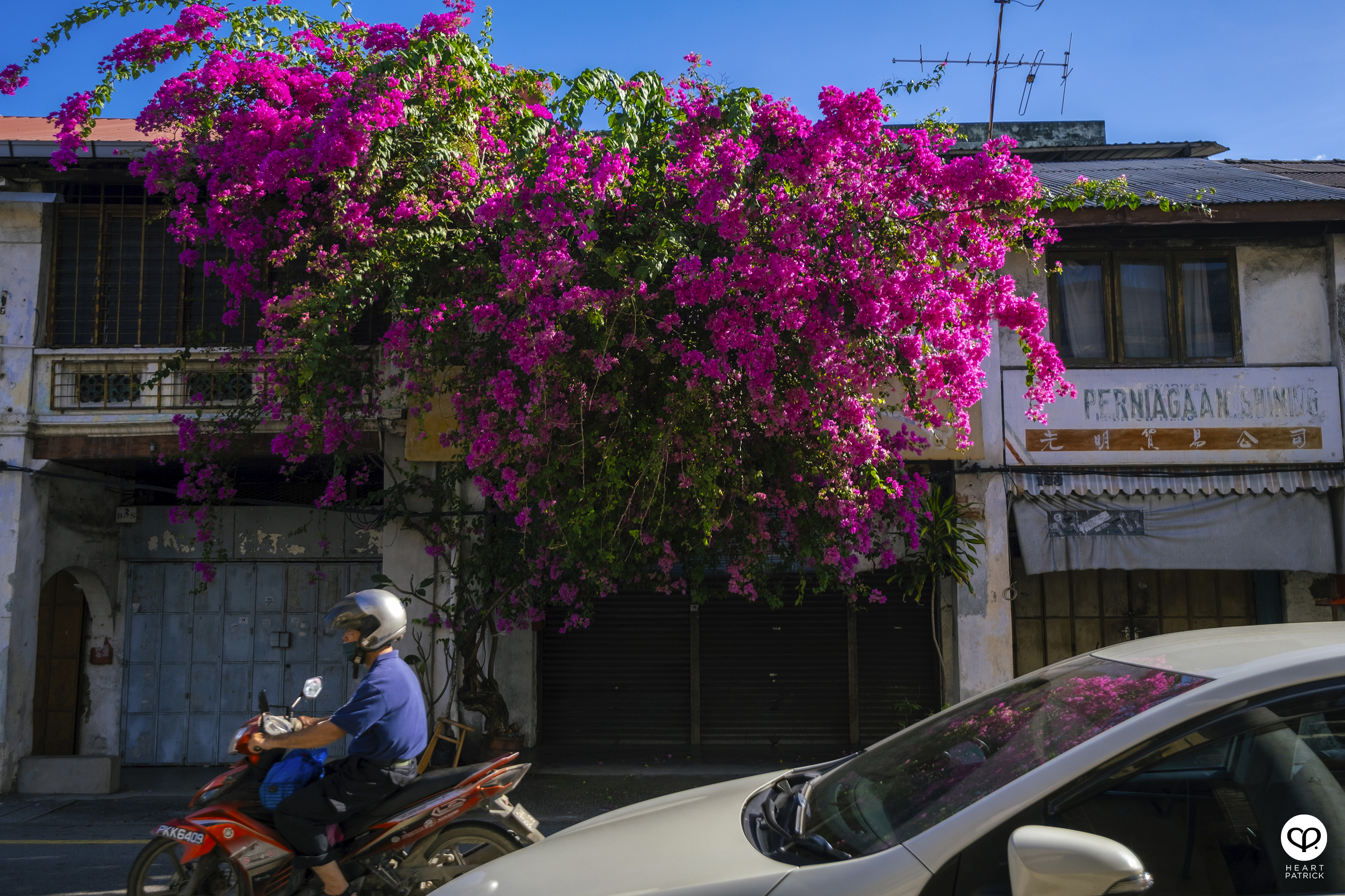 heartpatrick street heritage photography chinese new year 2025 bukit mertajam