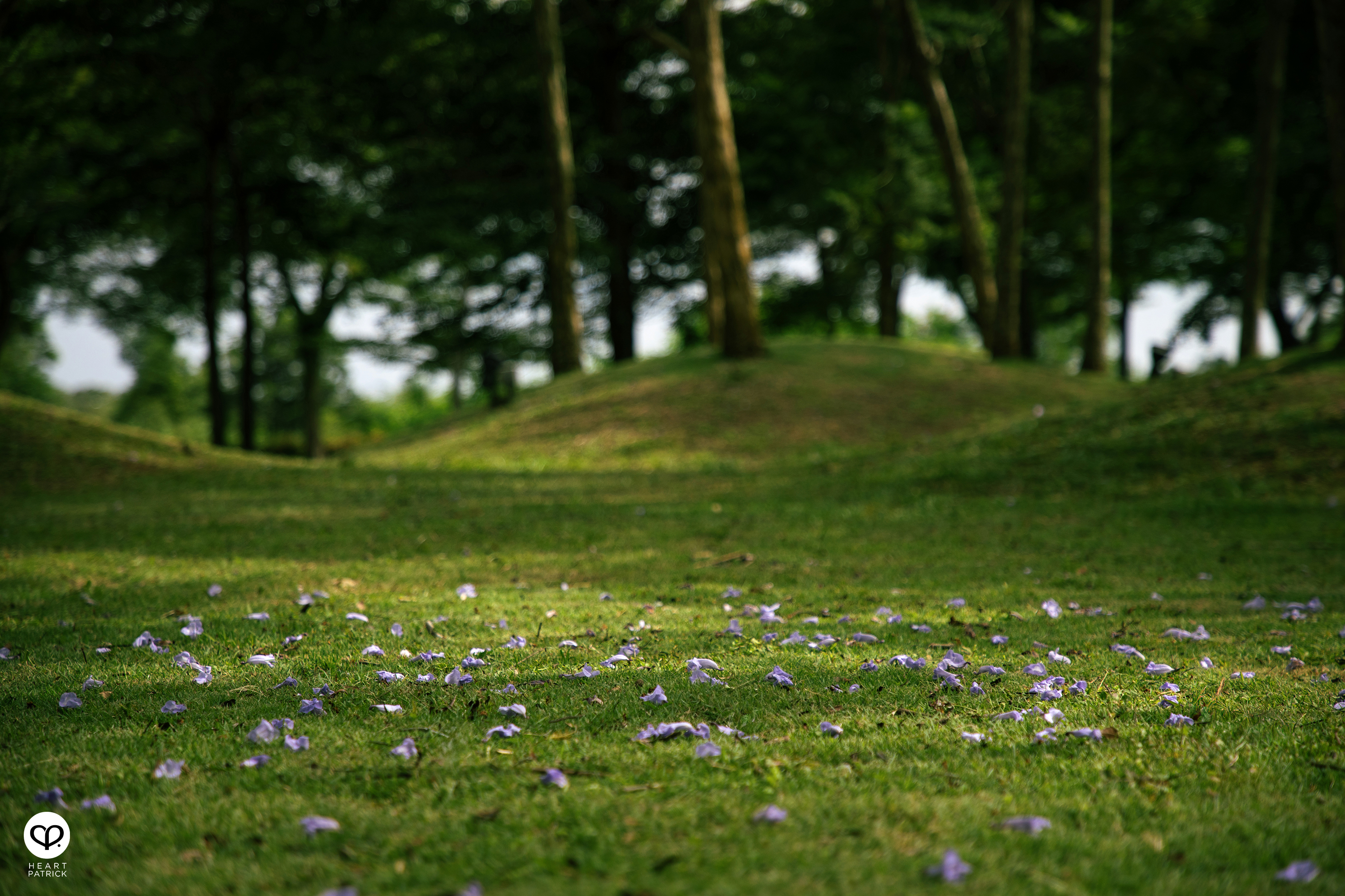 heartpatrick architecture real estate property developer photography ijm rimbayu