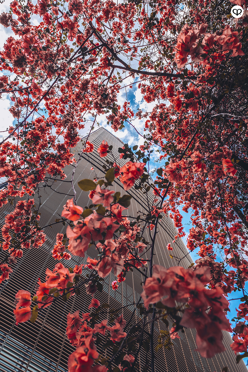 heartpatrick spaces urban exploring kl sentral mrcb land kuala lumpur properties commercial