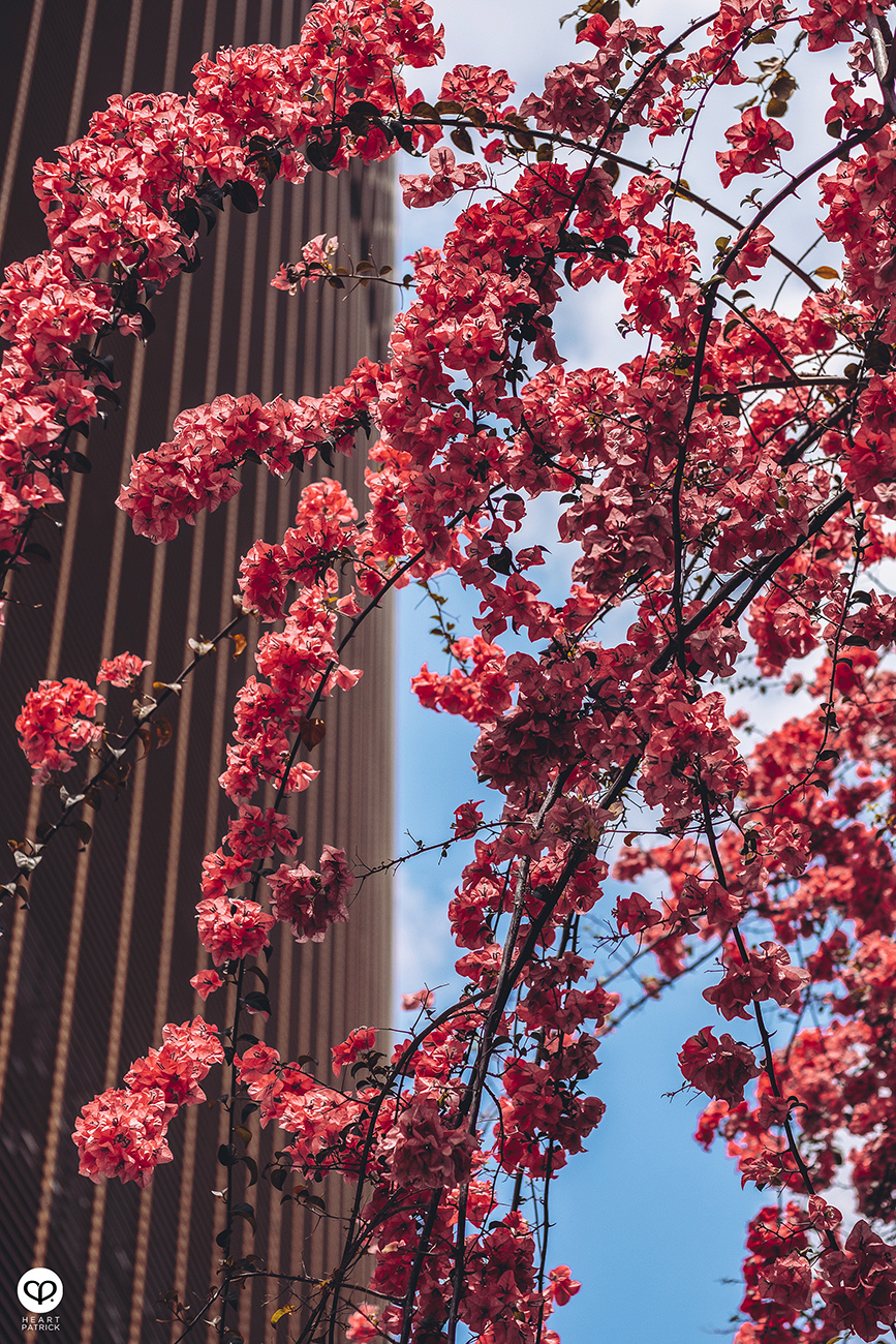 heartpatrick spaces urban exploring kl sentral mrcb land kuala lumpur properties commercial