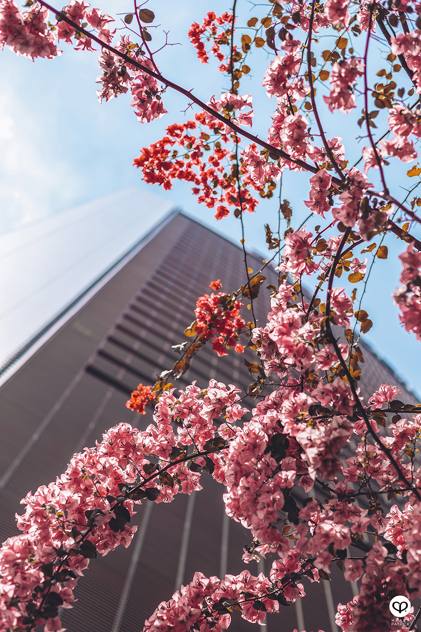 heartpatrick spaces urban exploring kl sentral mrcb land kuala lumpur properties commercial