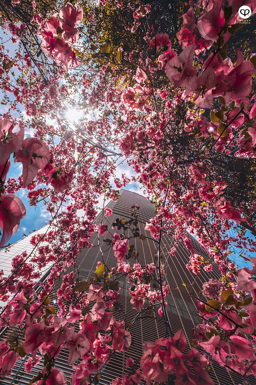 heartpatrick spaces urban exploring kl sentral mrcb land kuala lumpur properties commercial