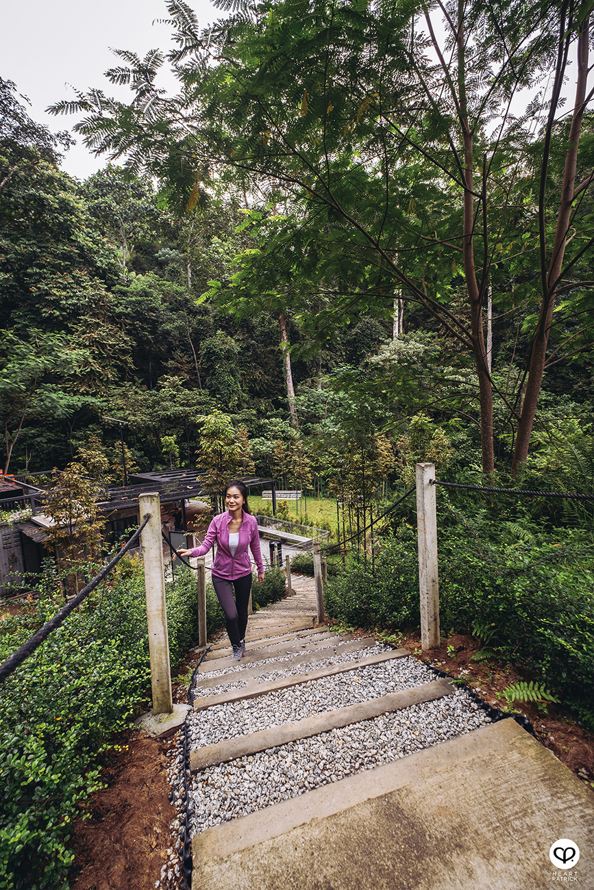 heartpatrick urban exploring jungle hiking forest reserve kl east park sime darby