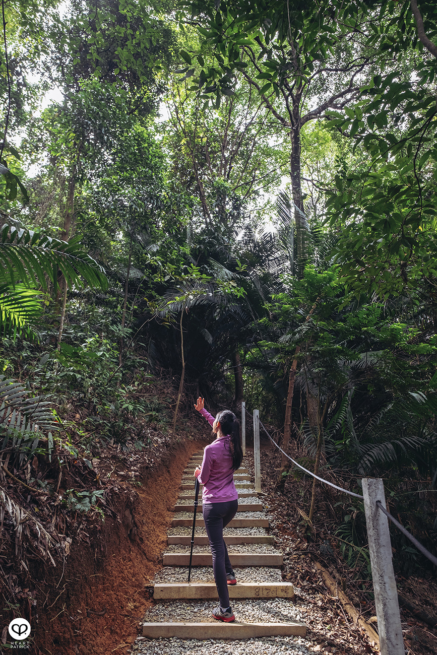 heartpatrick urban exploring jungle hiking forest reserve kl east park sime darby