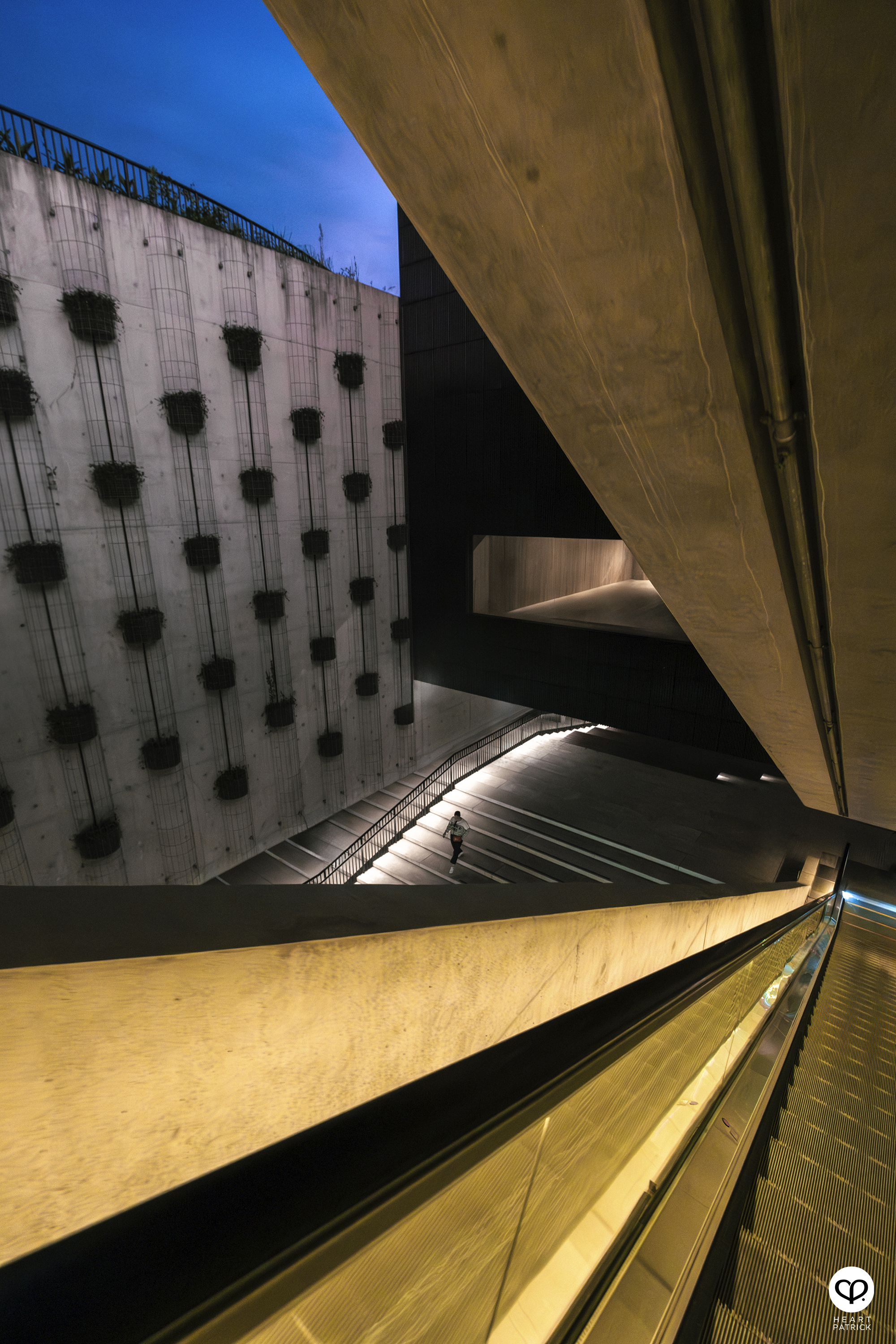 heartpatrick travel photography M+ museum hong kong