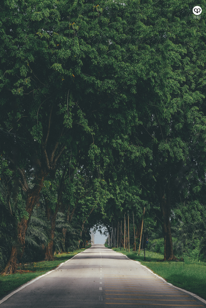 heartpatrick olympus OMD EM10  Mark II 