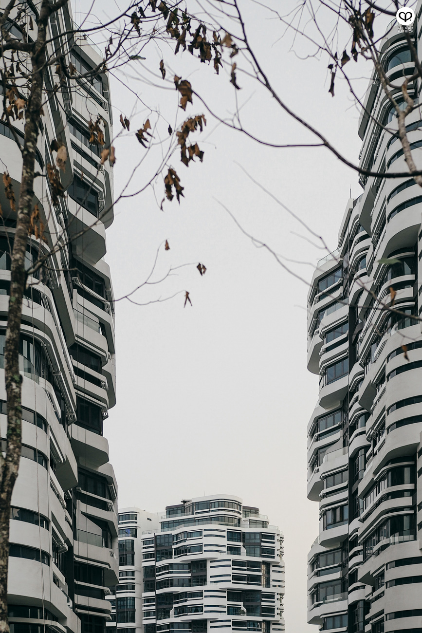 heartpatrick olympus OMD EM10  Mark II 