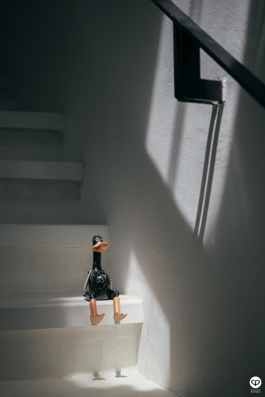 heartpatrick olympus OMD EM10  Mark II 