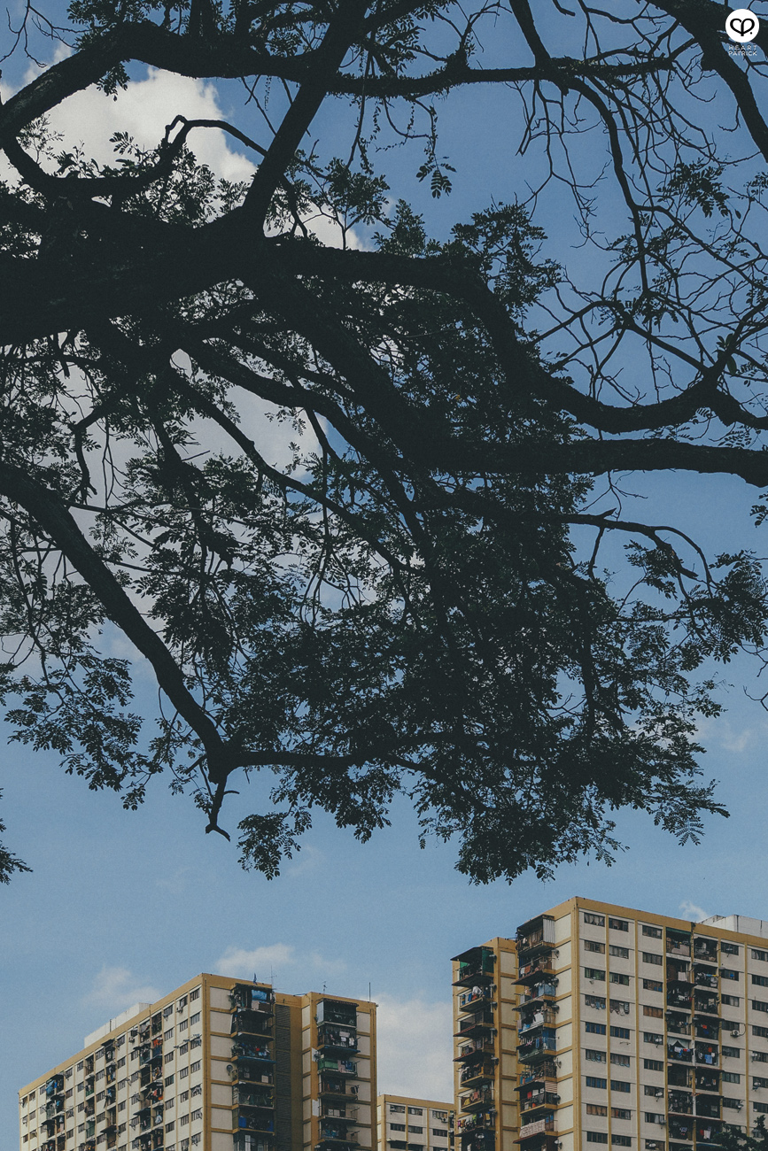 heartpatrick olympus OMD EM10  Mark II 