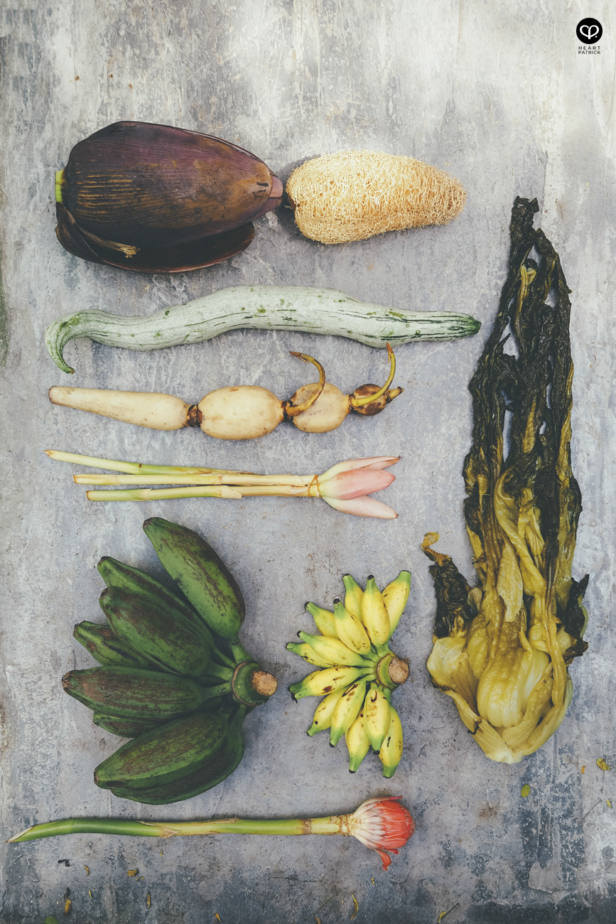 heartpatrick olympus OMD EM10  Mark II 