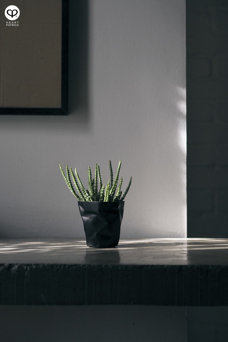 heartpatrick olympus OMD EM10  Mark II 