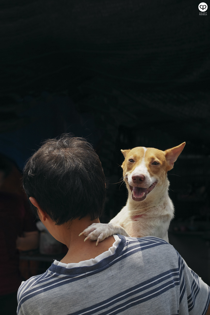heartpatrick olympus OMD EM10  Mark II 