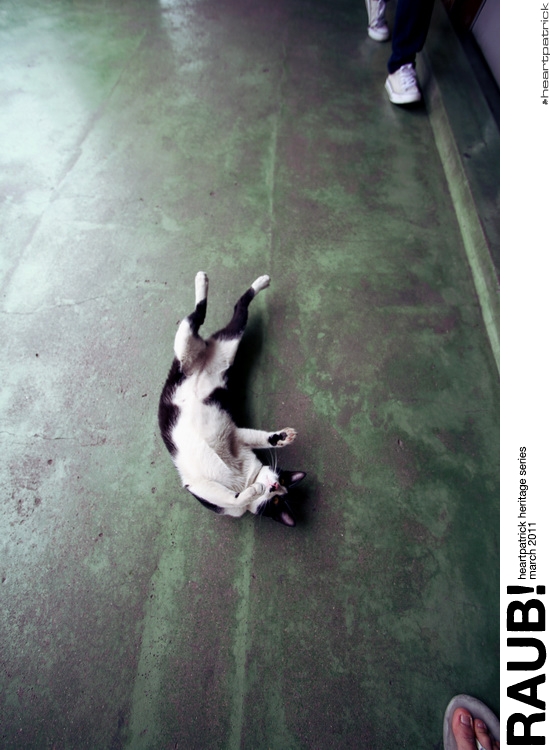 heartpatrick raub pahang urban heritage