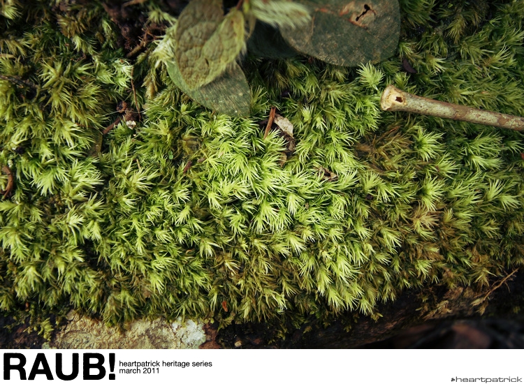 heartpatrick raub pahang urban heritage