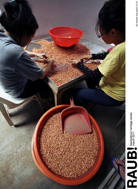 heartpatrick raub pahang urban heritage