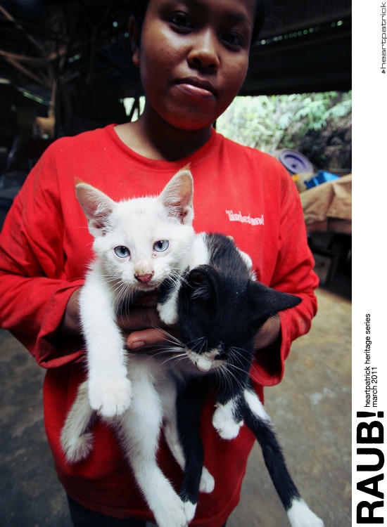 heartpatrick raub pahang urban heritage