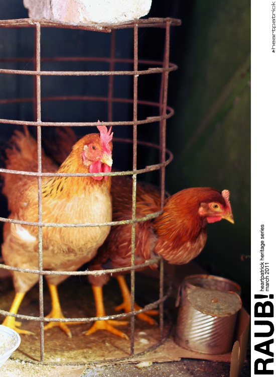 heartpatrick raub pahang urban heritage