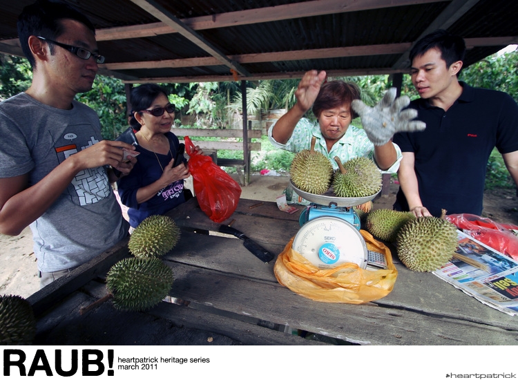 heartpatrick raub pahang urban heritage