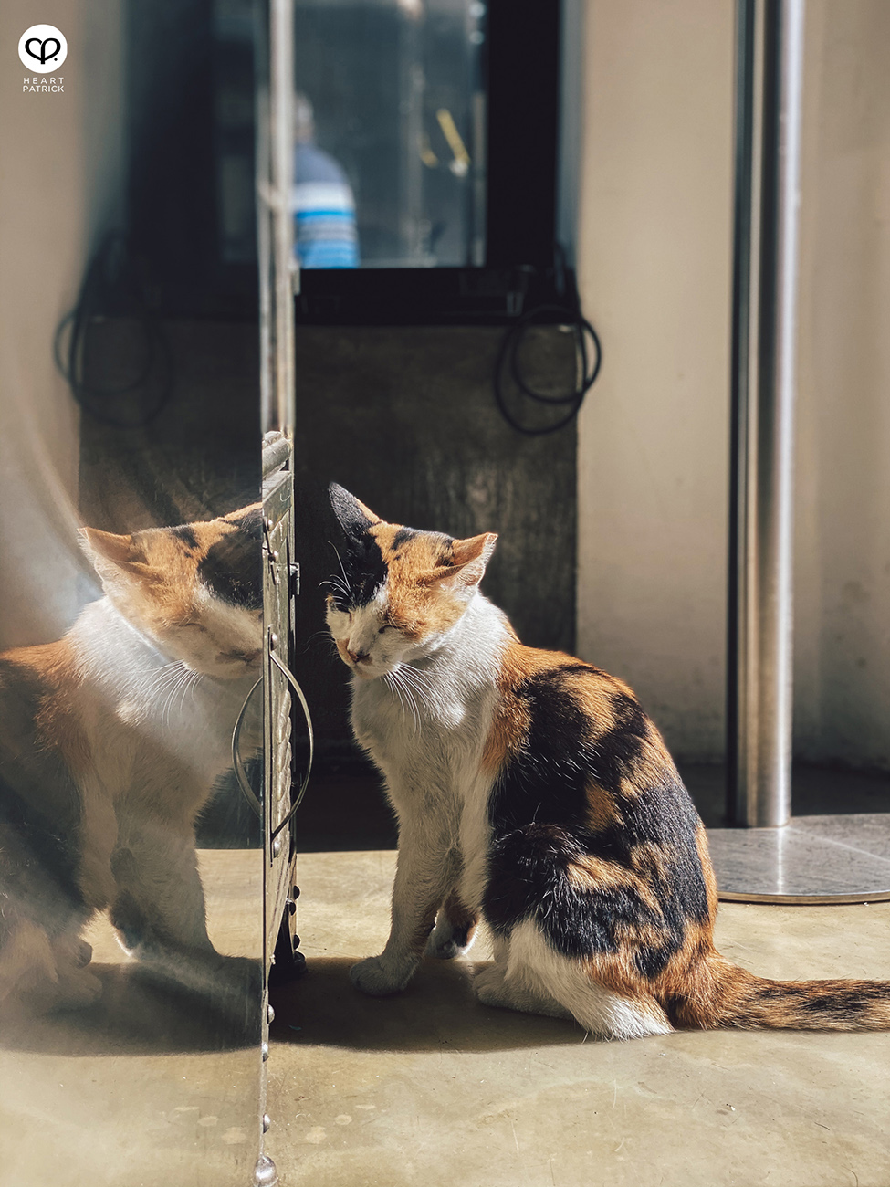 heartpatrick travel add coffee seoul korea