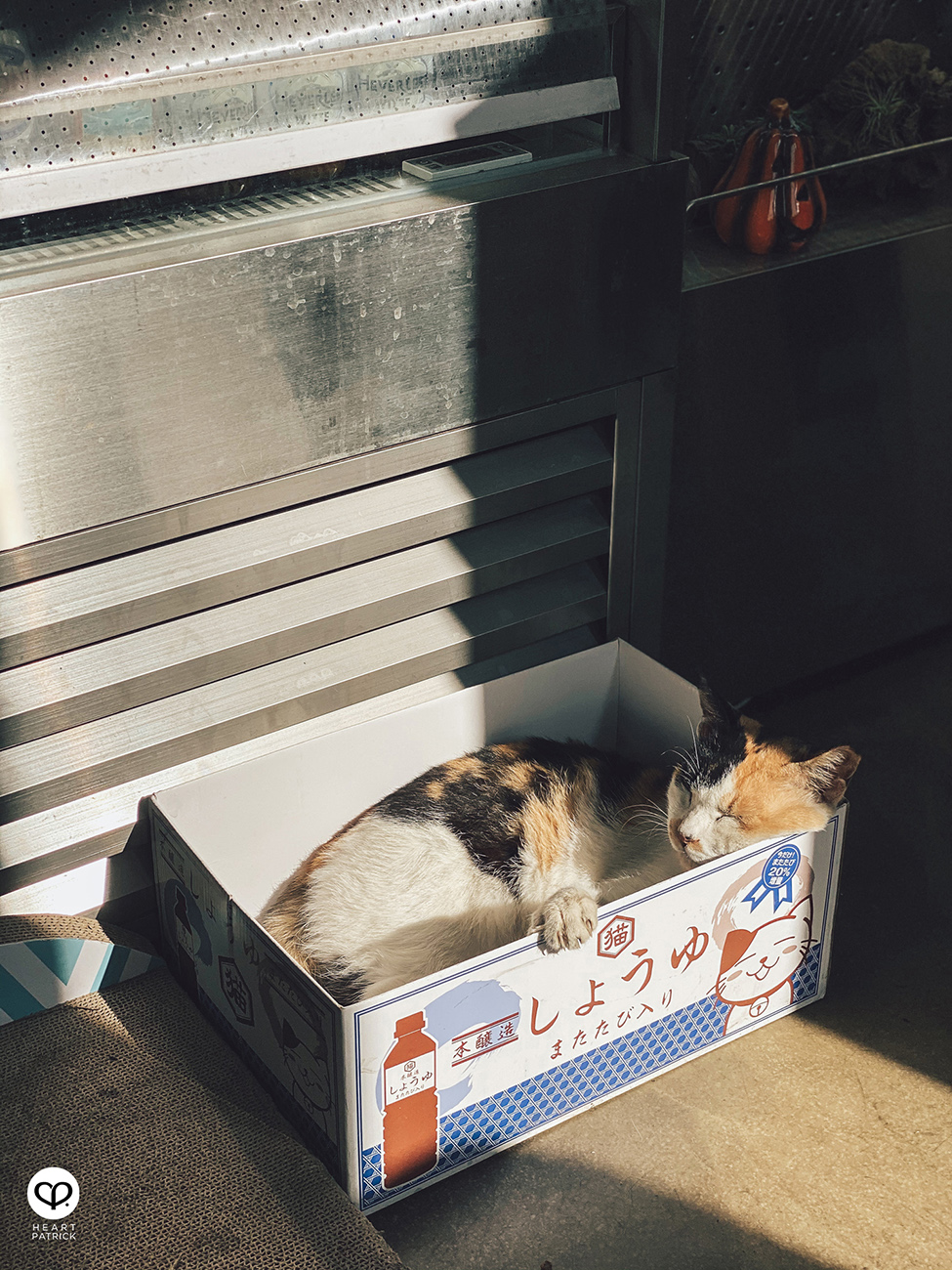 heartpatrick travel add coffee seoul korea