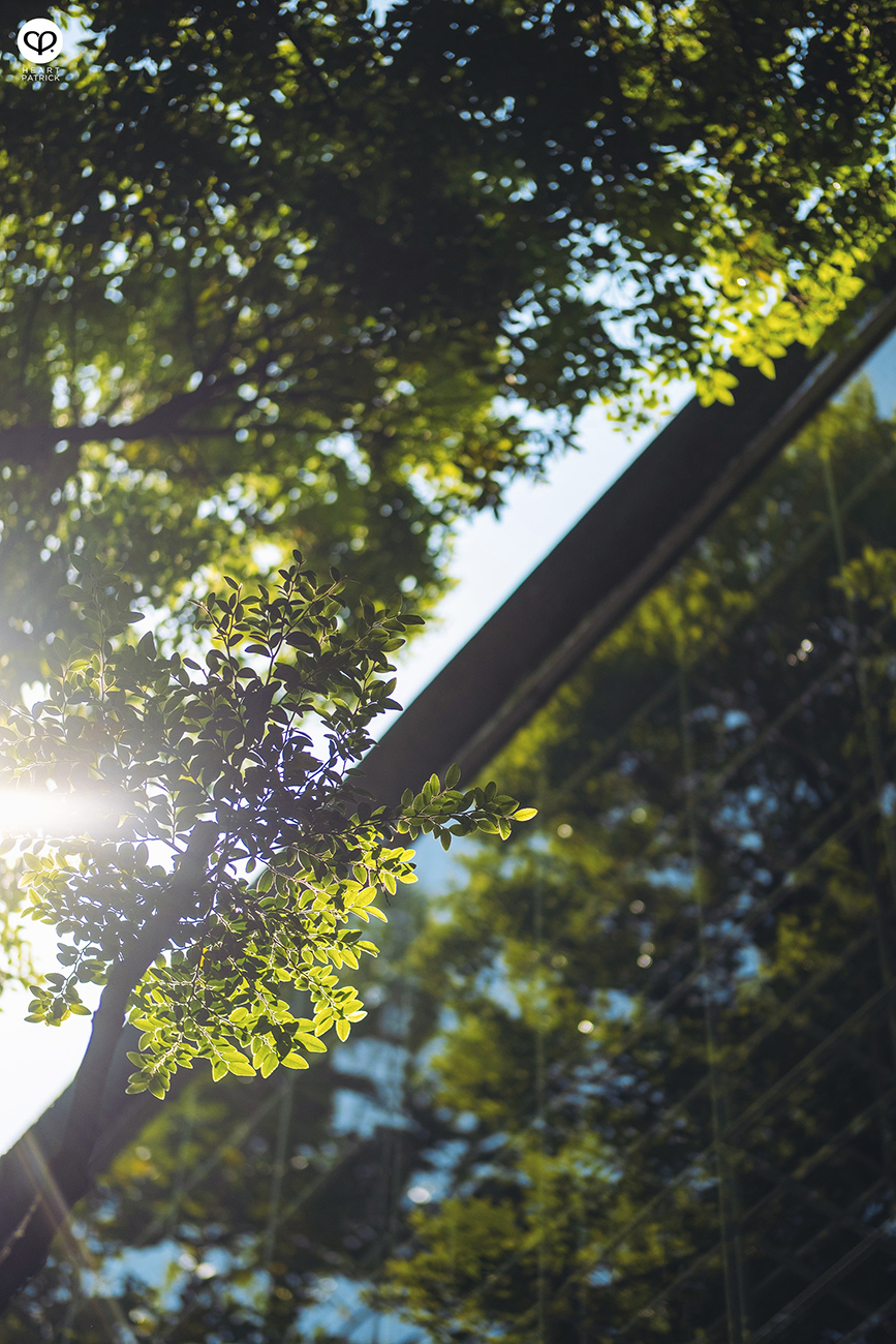 heartpatrick travel cafe photography anonymous coffee bangkok