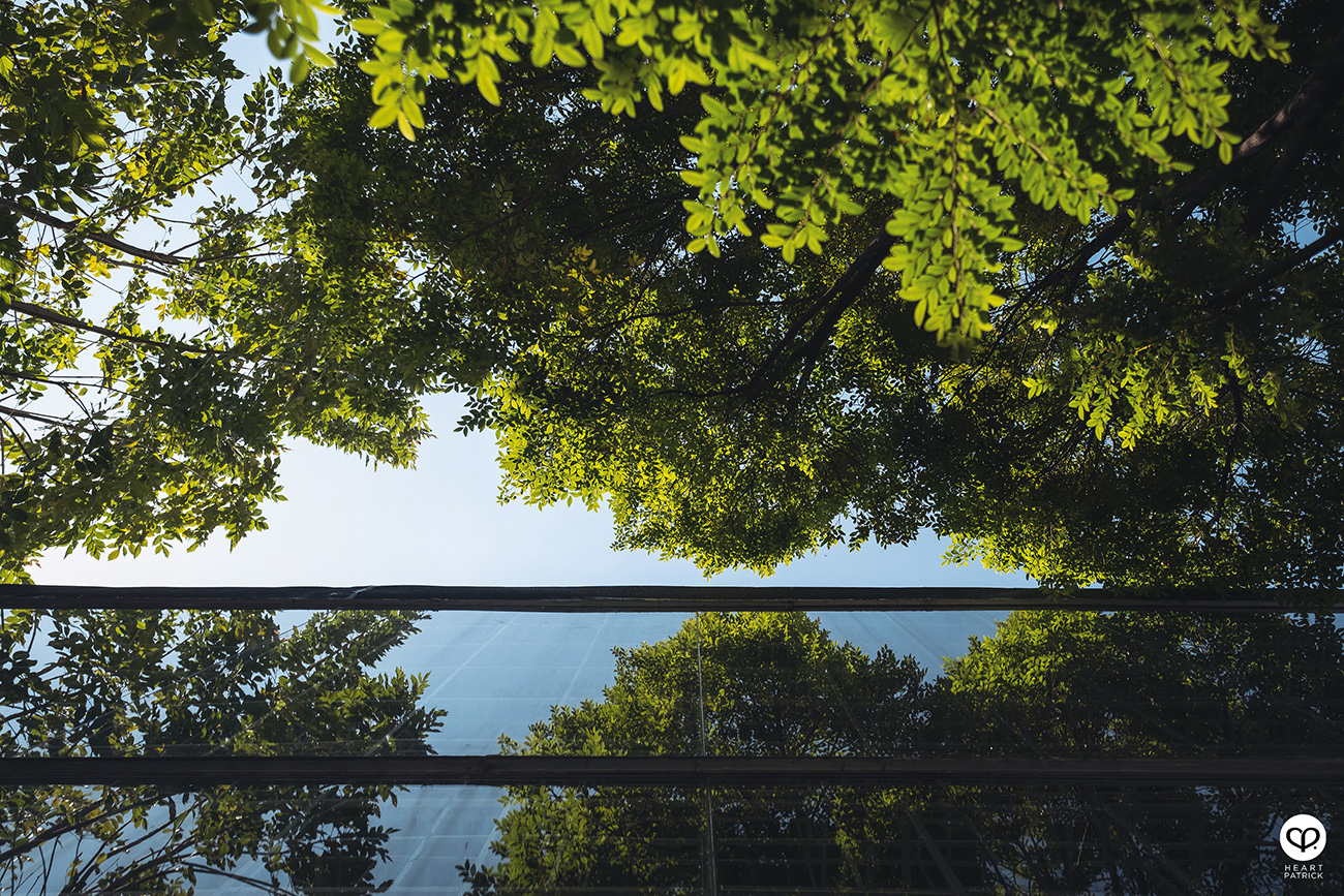 heartpatrick travel cafe photography anonymous coffee bangkok