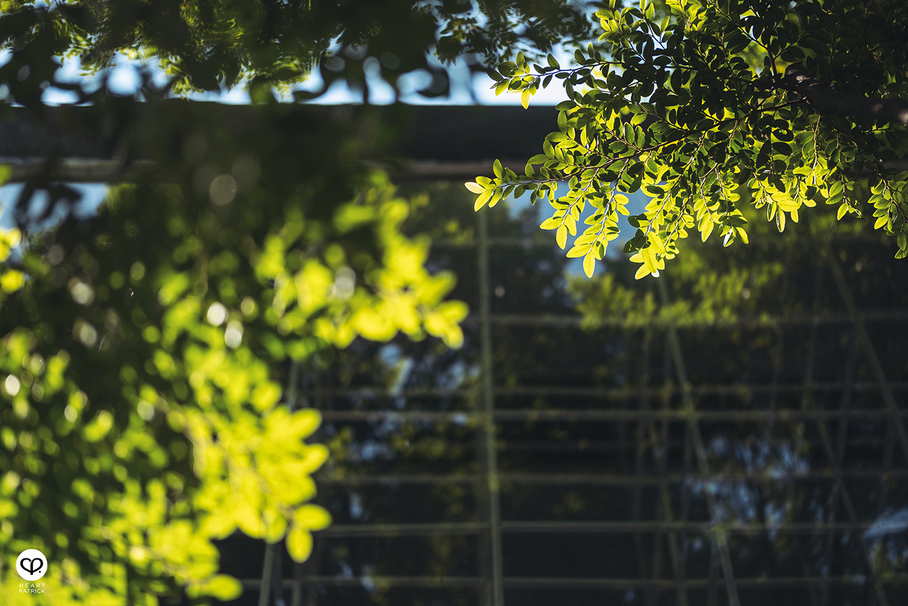 heartpatrick travel cafe photography anonymous coffee bangkok