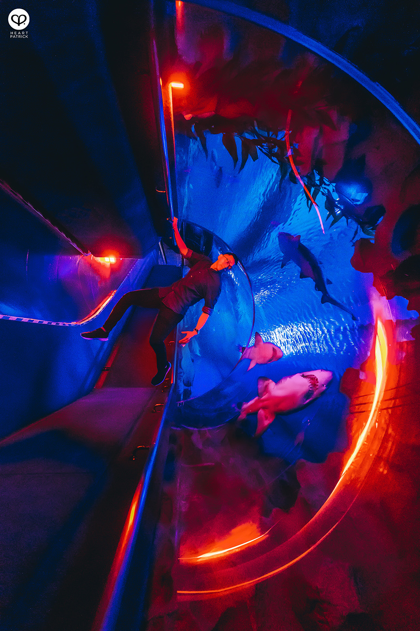 heartpatrick portrait photography tian chad aquaria klcc