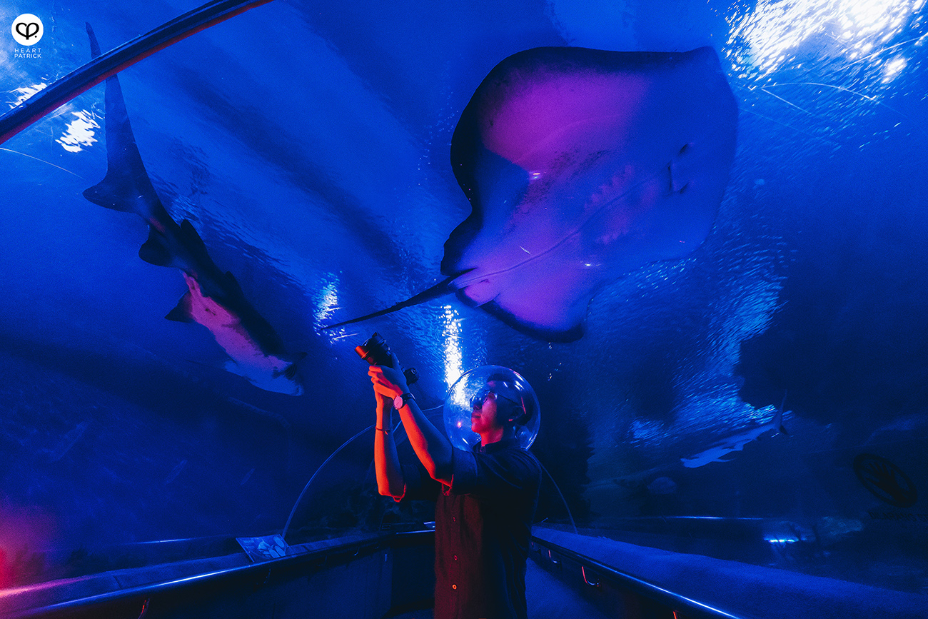 heartpatrick portrait photography tian chad aquaria klcc