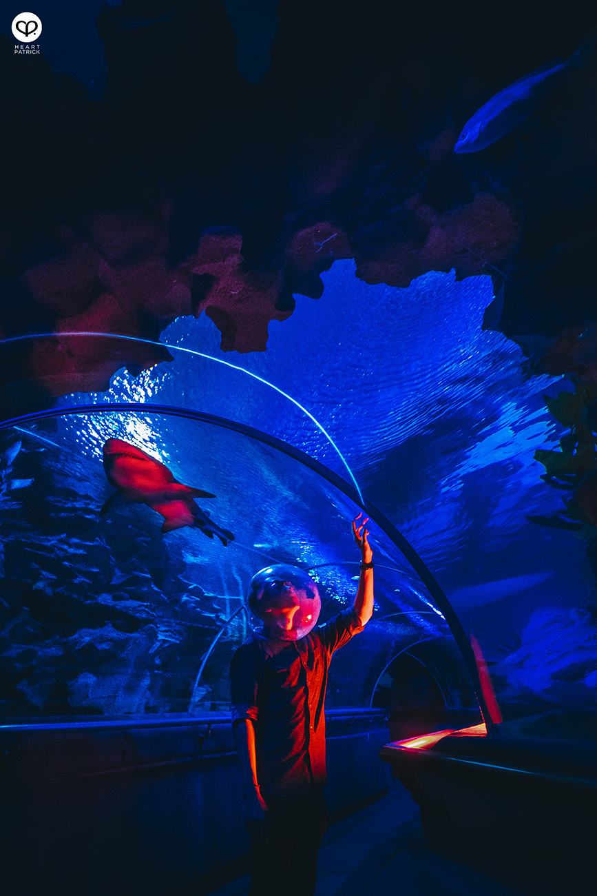 heartpatrick portrait photography tian chad aquaria klcc