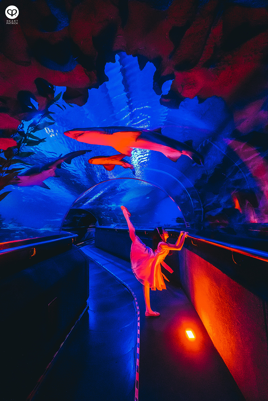 heartpatrick portrait photography tian chad aquaria klcc