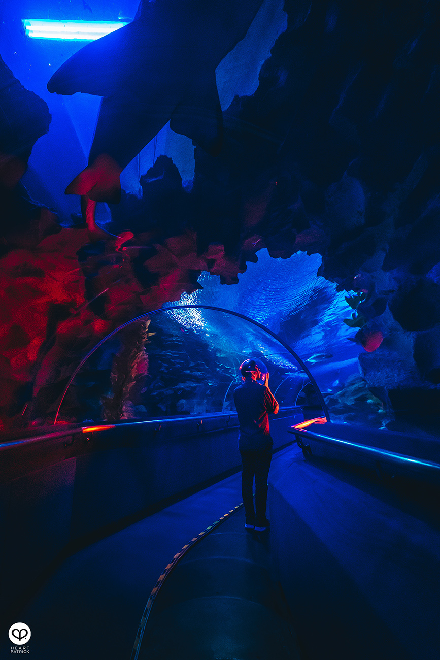 heartpatrick portrait photography tian chad aquaria klcc