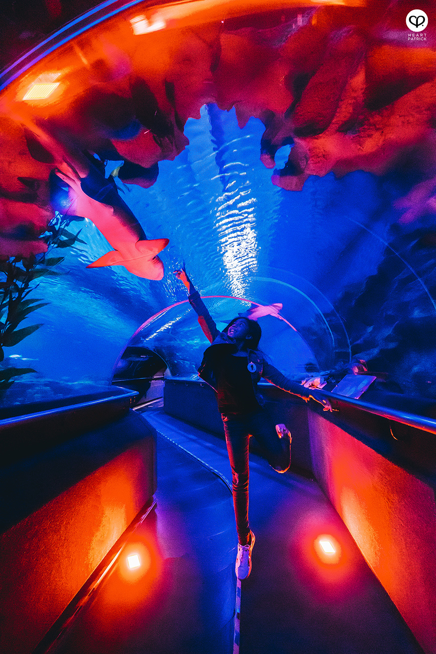 heartpatrick portrait photography tian chad aquaria klcc