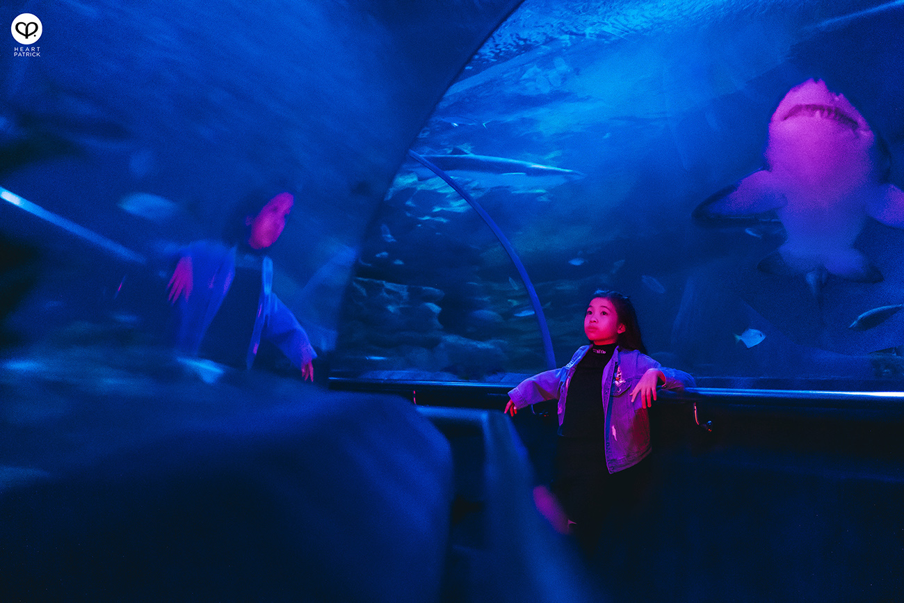 heartpatrick portrait photography tian chad aquaria klcc