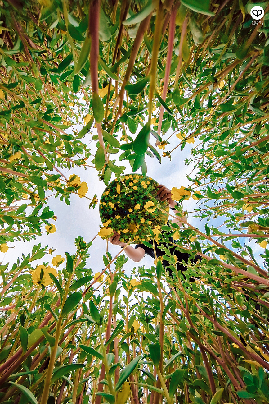 heartpatrick urban exploring bagan datuk datoh perak