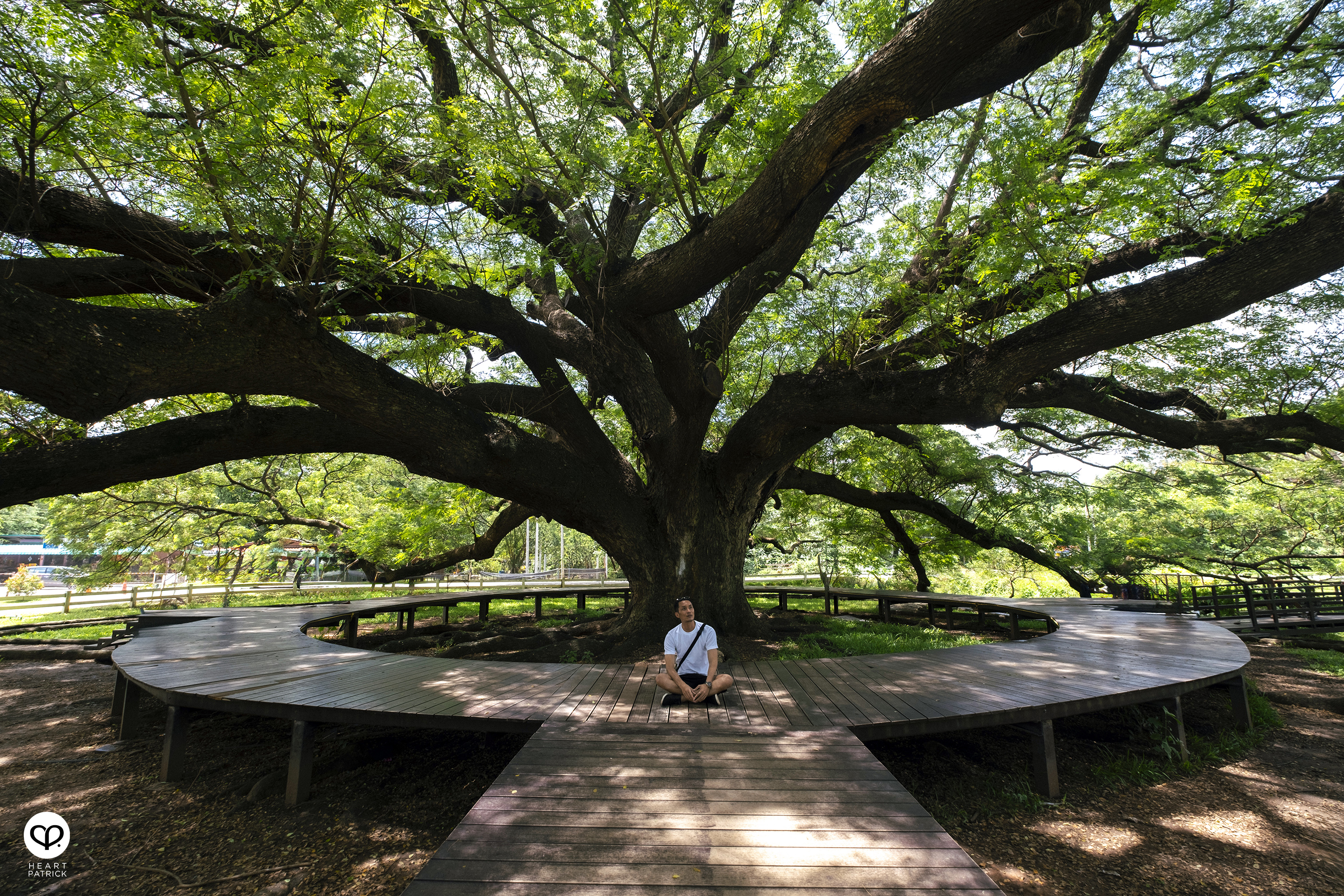 heartpatrick travel street photography bangkok thailand