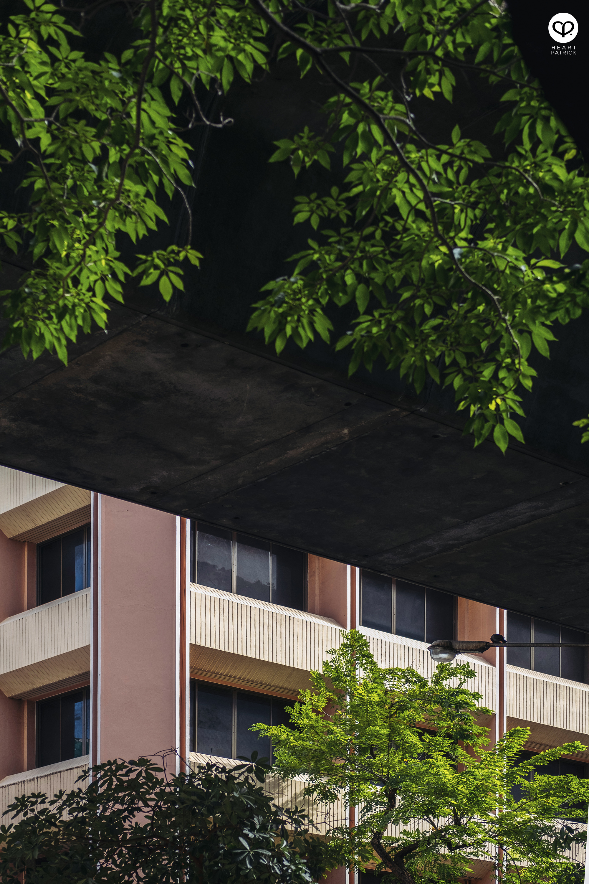 heartpatrick travel street photography bangkok thailand