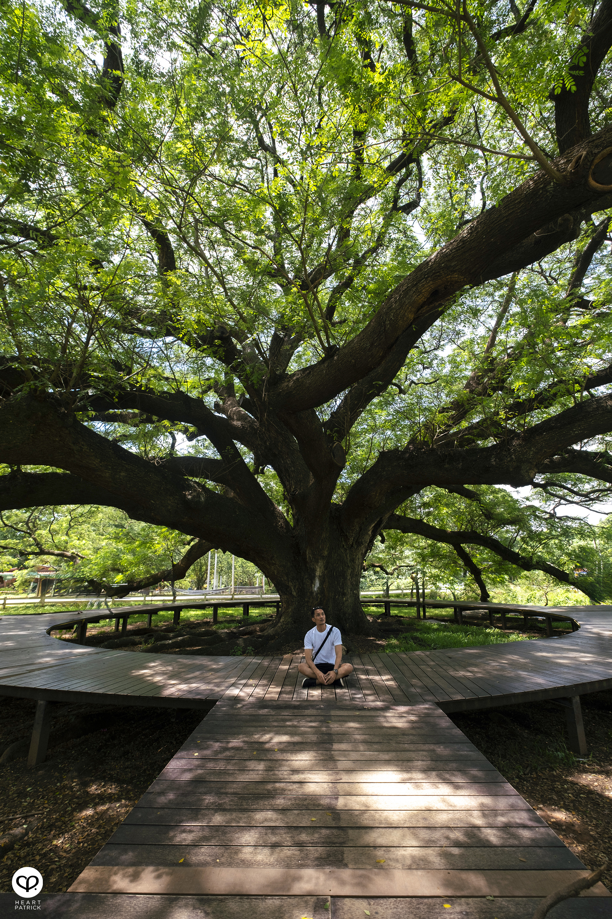 heartpatrick travel street photography bangkok thailand