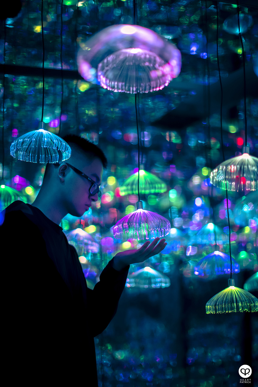 heartpatrick interior photography teamlab bear bad installations light projection instagram spot kulai johor
