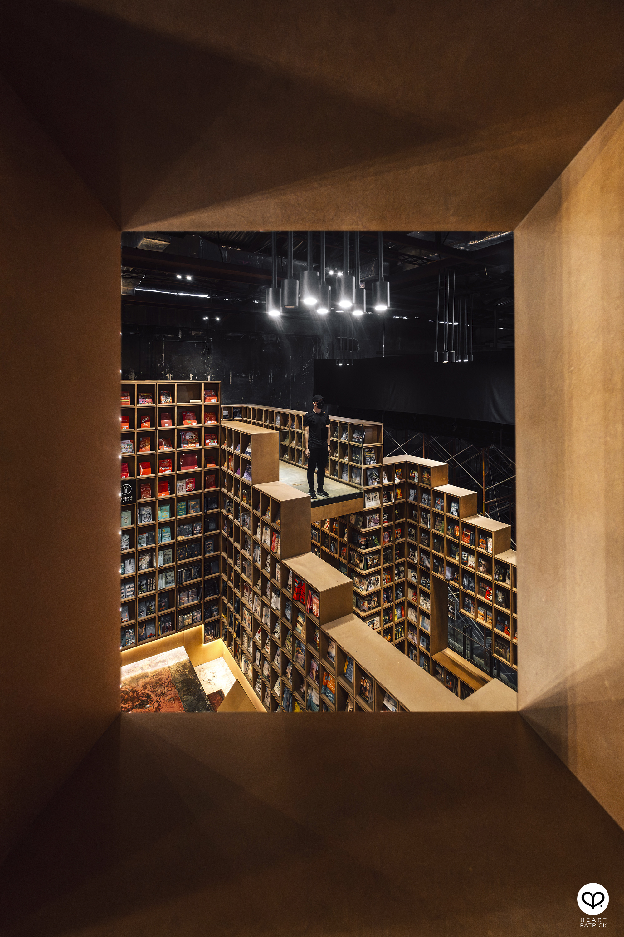 heartpatrick portraits centrio aerial dancer noah yap