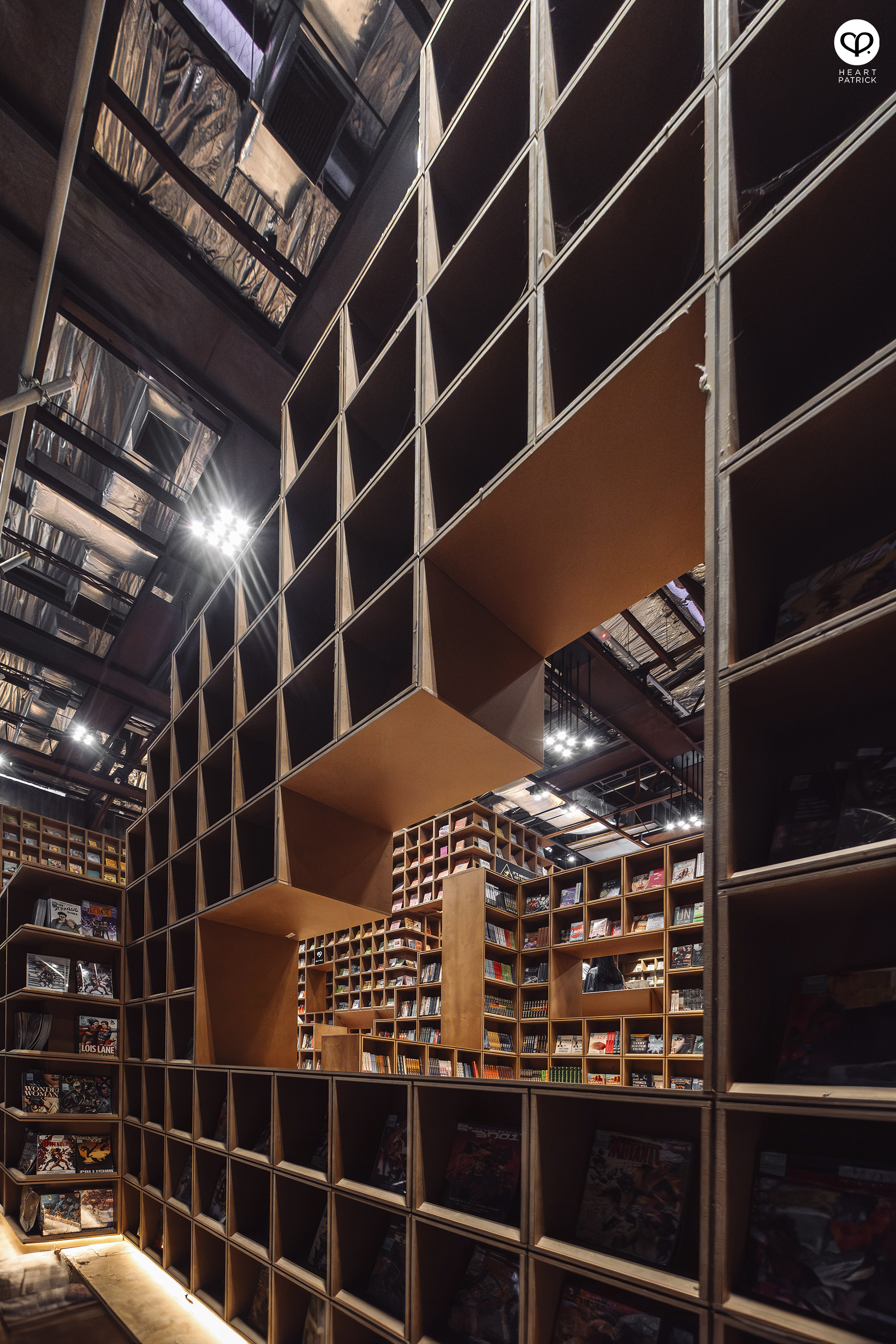 heartpatrick portraits centrio aerial dancer noah yap