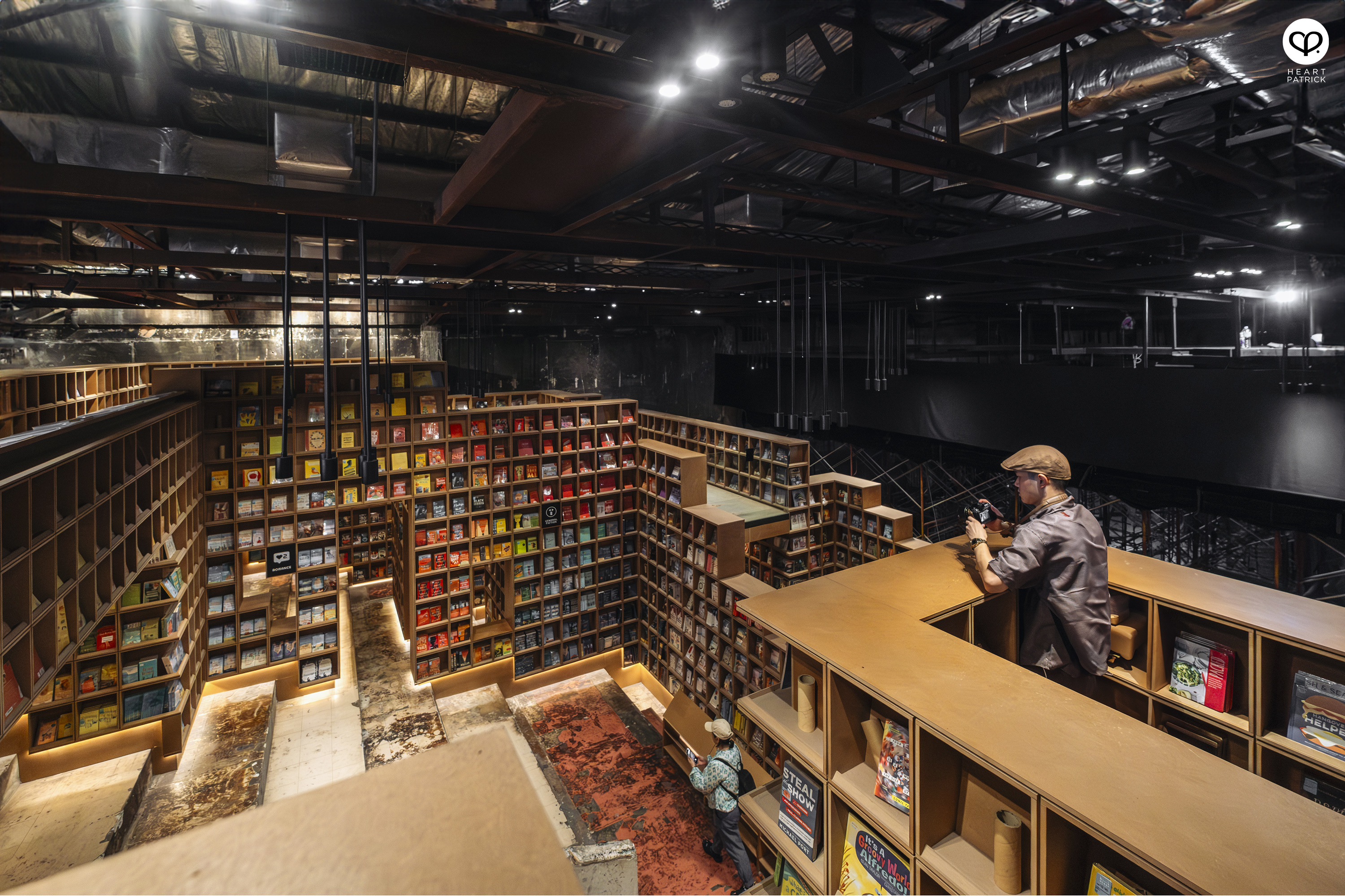 heartpatrick portraits centrio aerial dancer noah yap