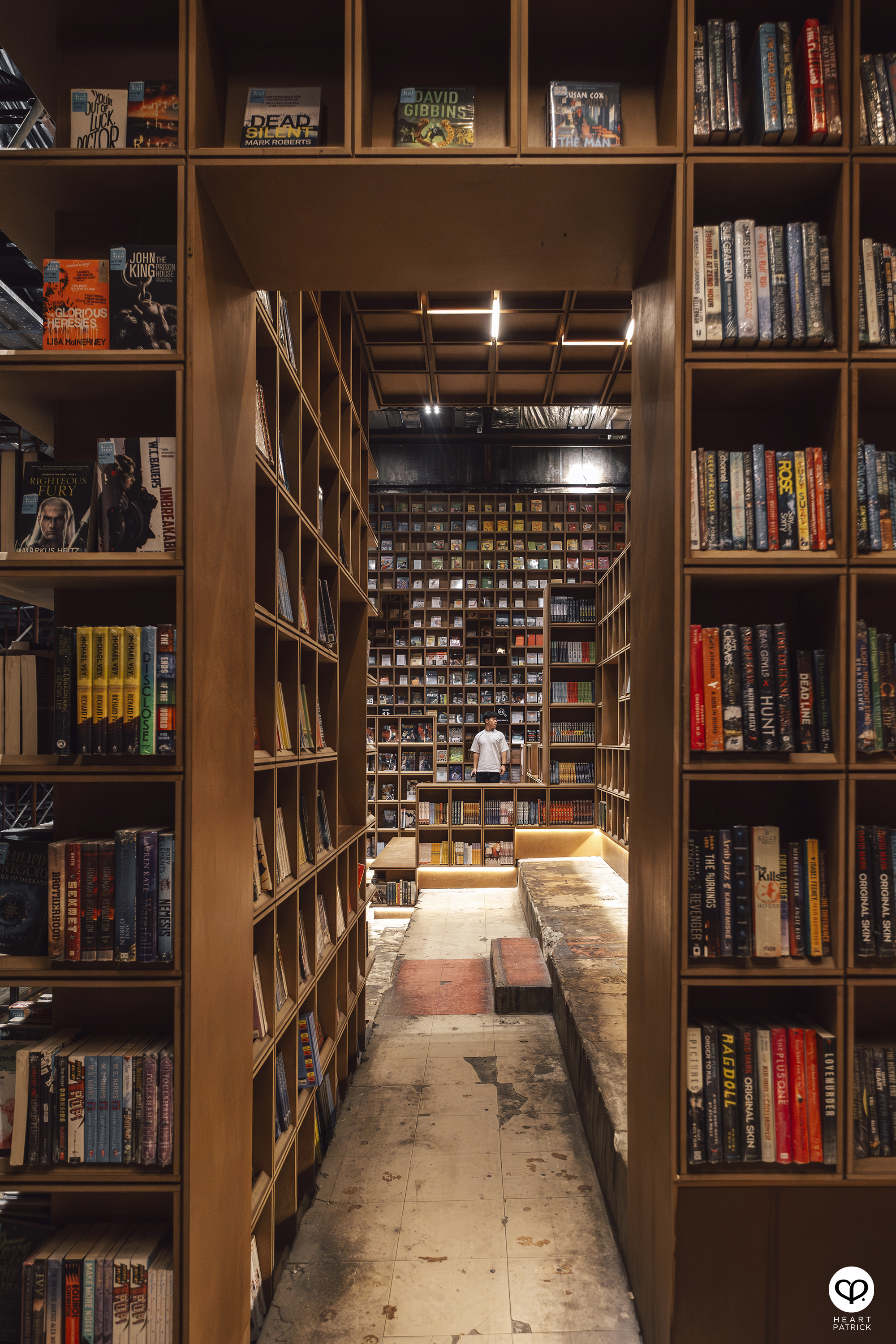 heartpatrick portraits centrio aerial dancer noah yap