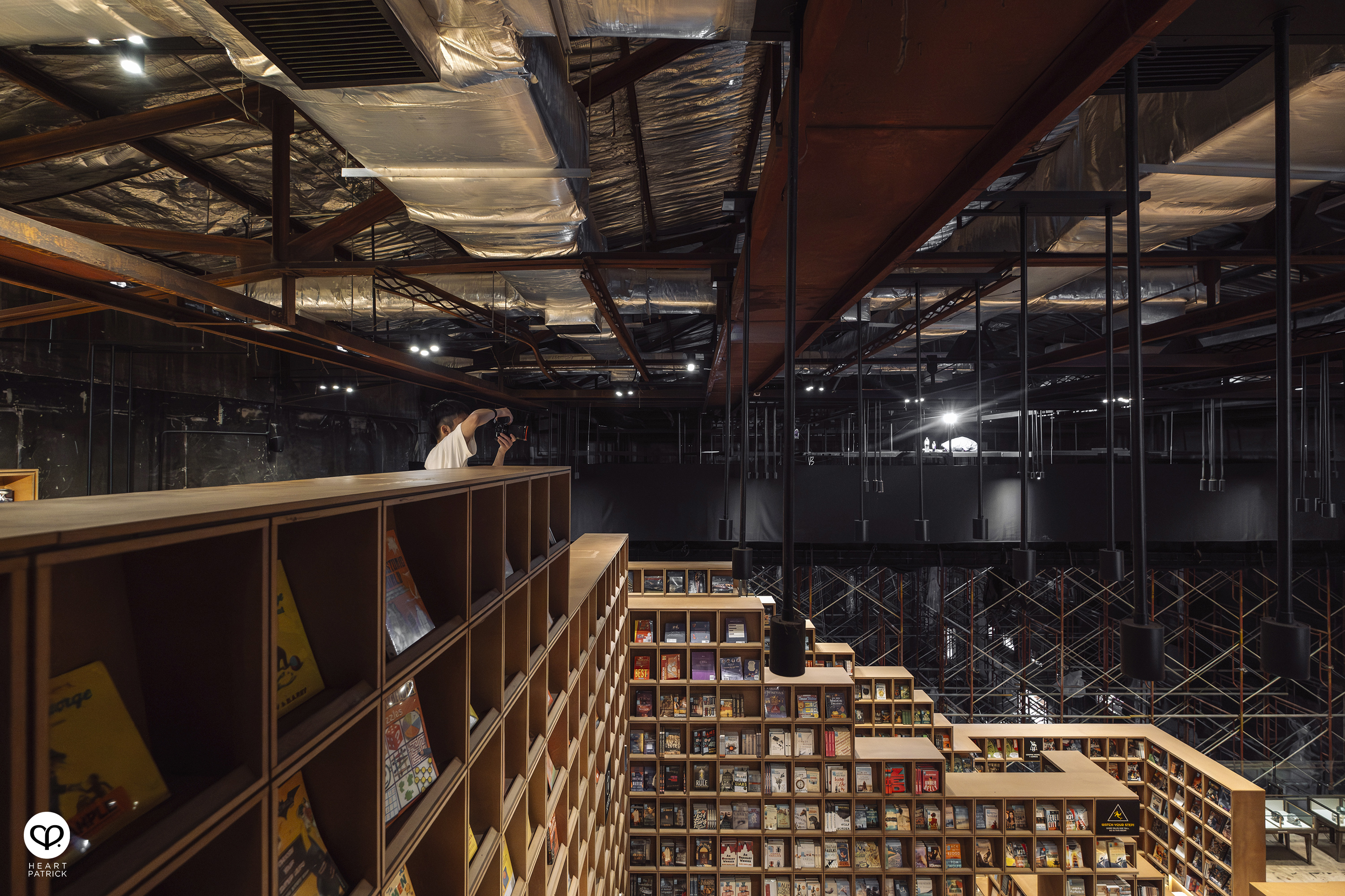 heartpatrick portraits centrio aerial dancer noah yap