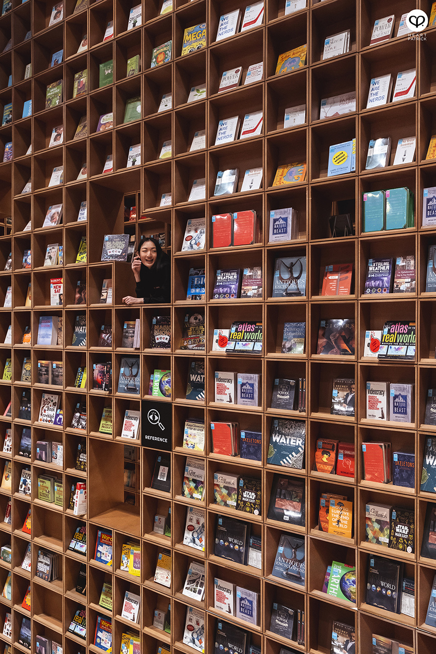 heartpatrick portraits centrio aerial dancer noah yap